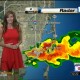 Julie Durda WPLG Local 10 News Debut